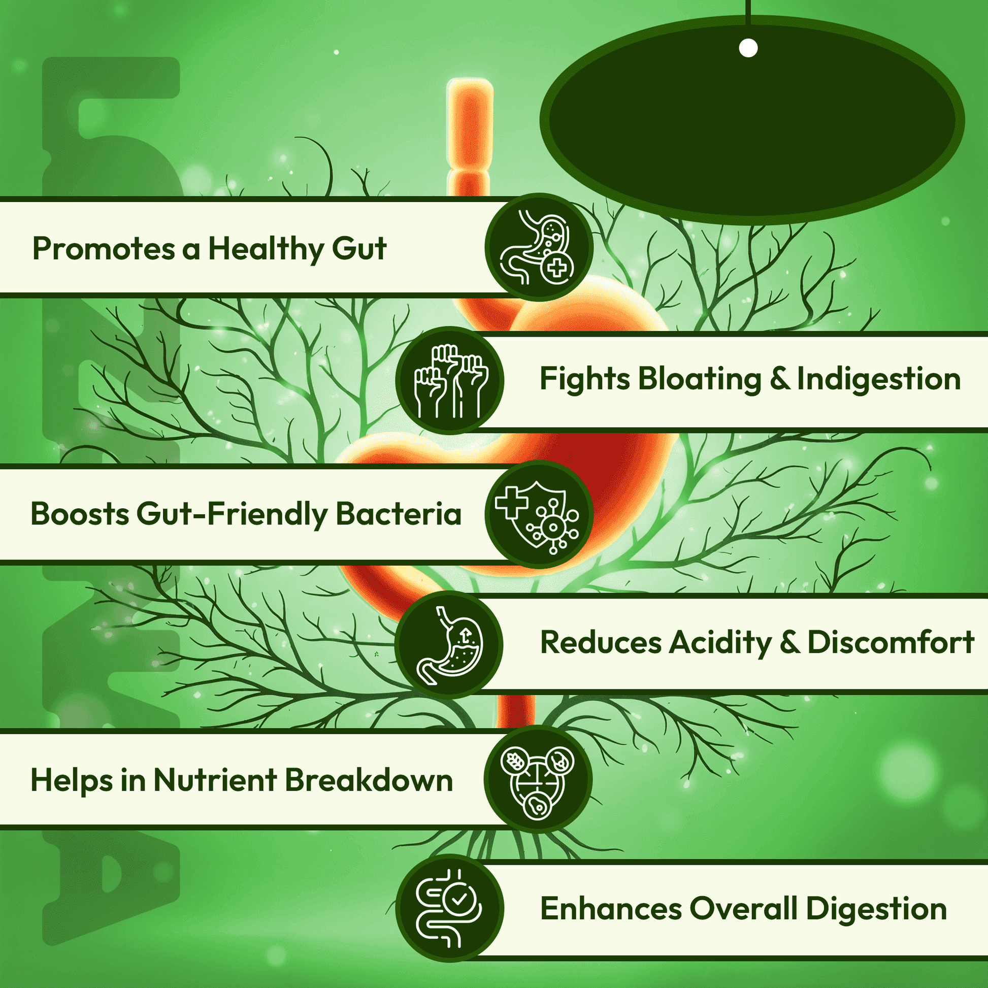 Lozanaa Gut - Reset Gummies | Bloat Less. Digest Better. Feel Lighter. - Lozanaa