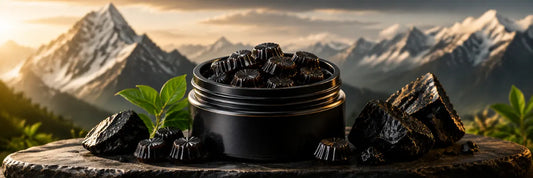 Complete Guide to Shilajit Supplements