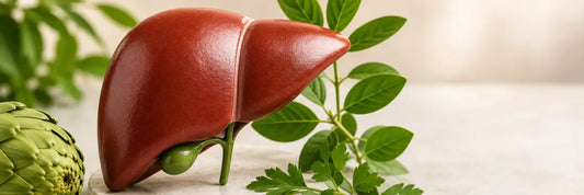 Liver Supplements for Fatty Liver: What You Should Know
