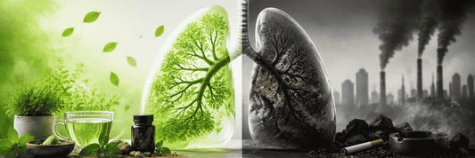 Lung Detox vs Lung Cleanse