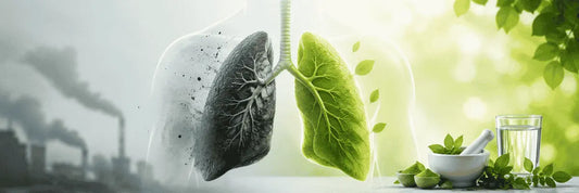 Signs Your Lungs Need Detox Support