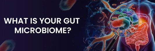 What Is Your Gut Microbiome? - Lozanaa