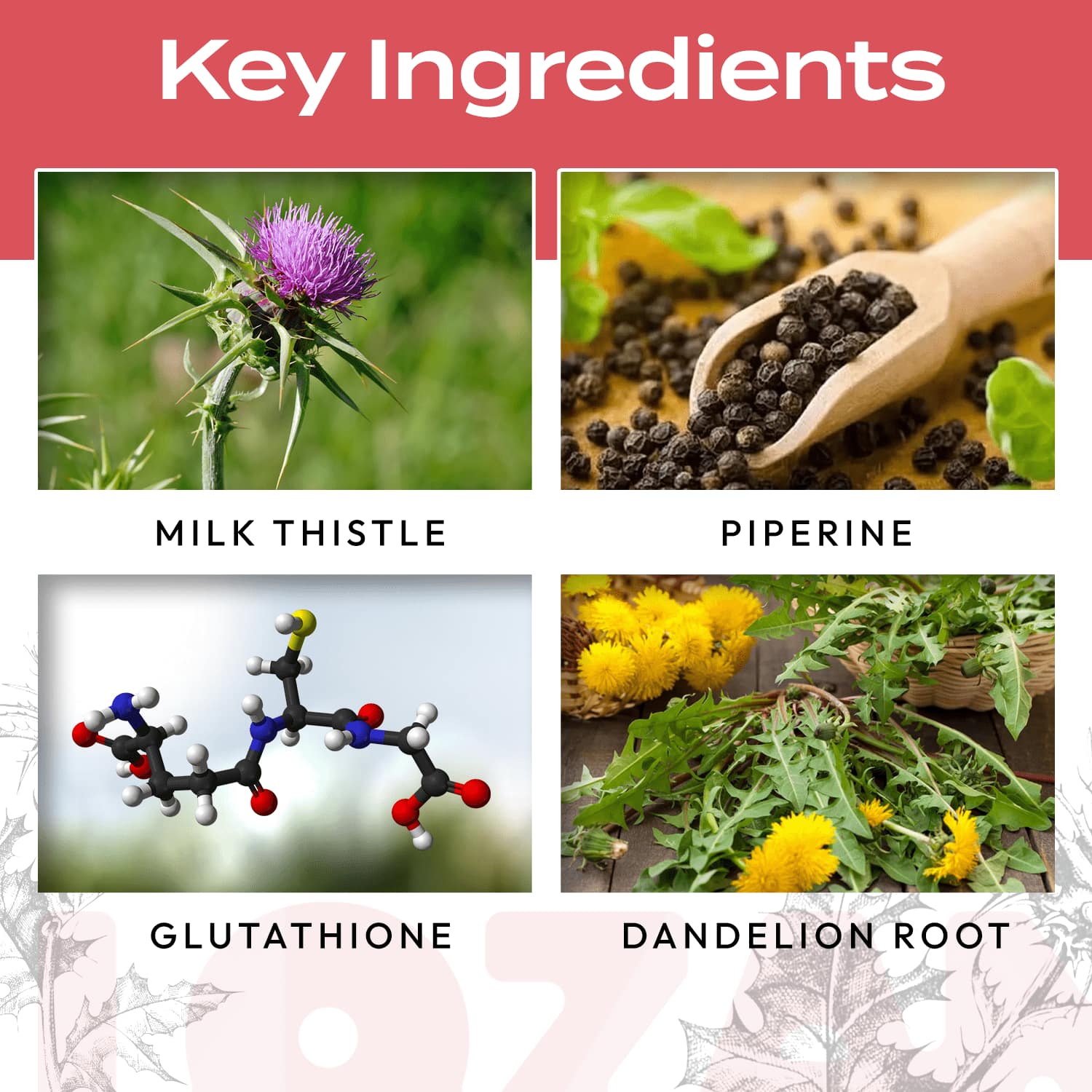 Liver Detox Tablets - Lozanaa