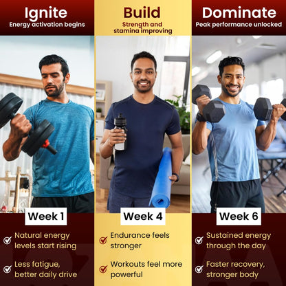 Lozanaa Shilajit Gummies - Lozanaa