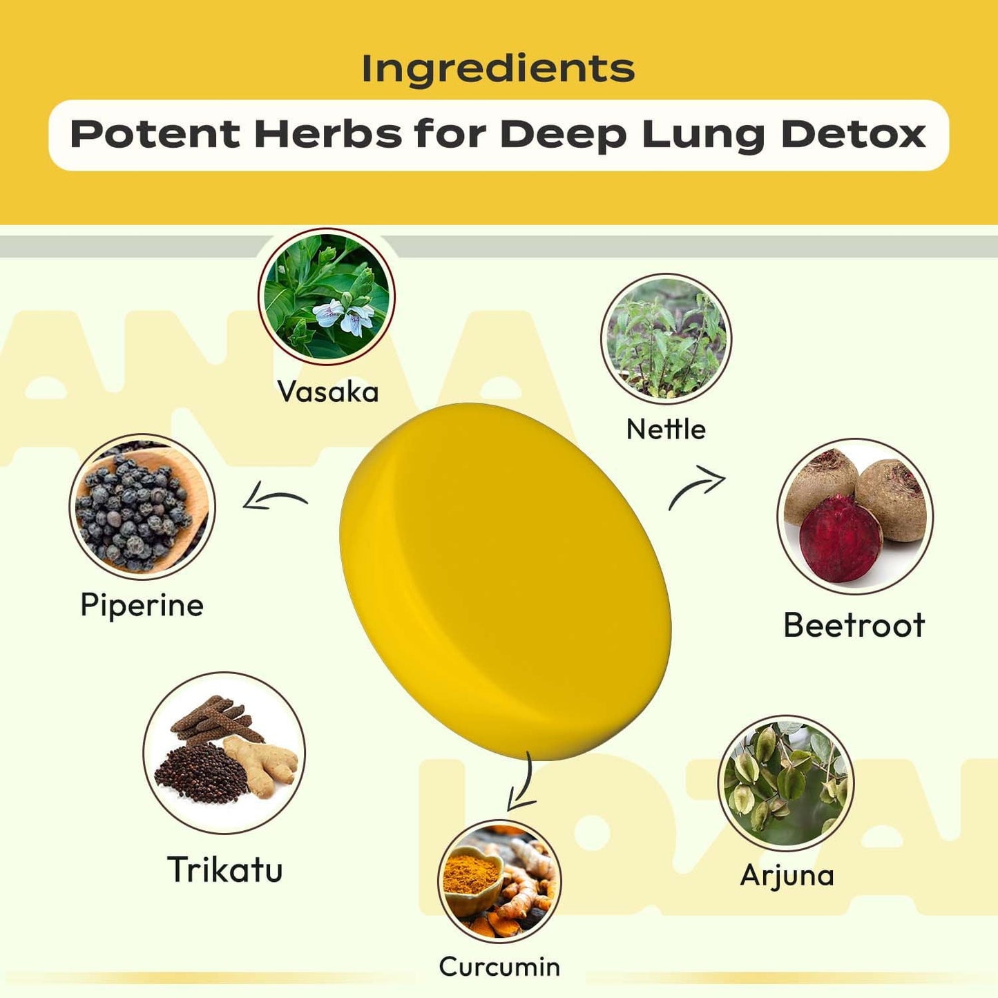 Lung Detox Tablets - Lozanaa