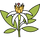 Ingredient image
